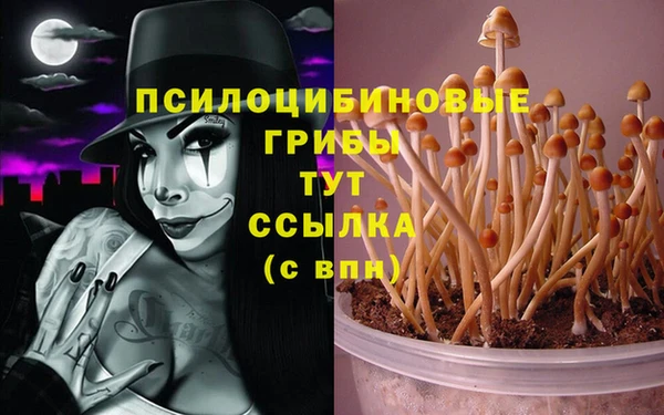 PSILOCYBIN Богданович